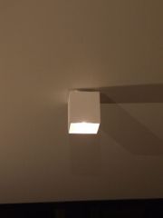 110309_lum2.JPG